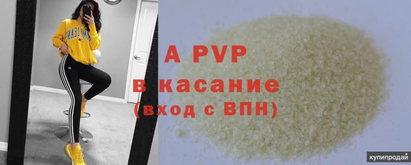 ГАЛЛЮЦИНОГЕННЫЕ ГРИБЫ Лагань