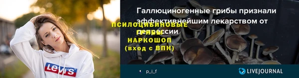 ГАЛЛЮЦИНОГЕННЫЕ ГРИБЫ Лагань