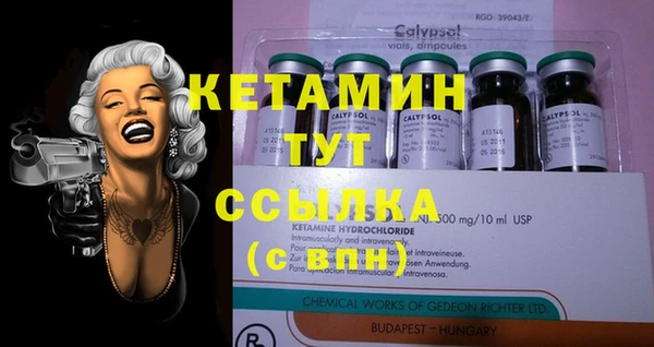 молекула духа Ладушкин