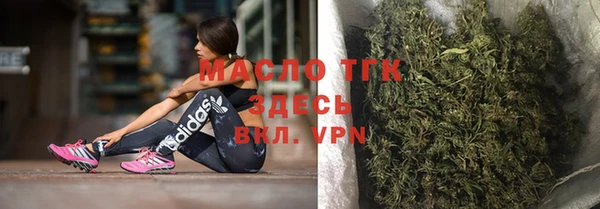 молекула духа Ладушкин